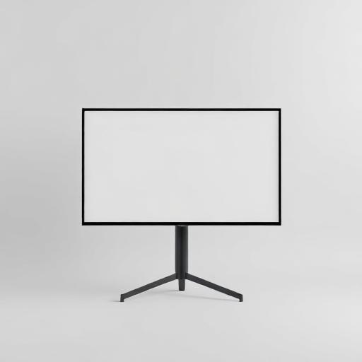 Flat screen television on a stand